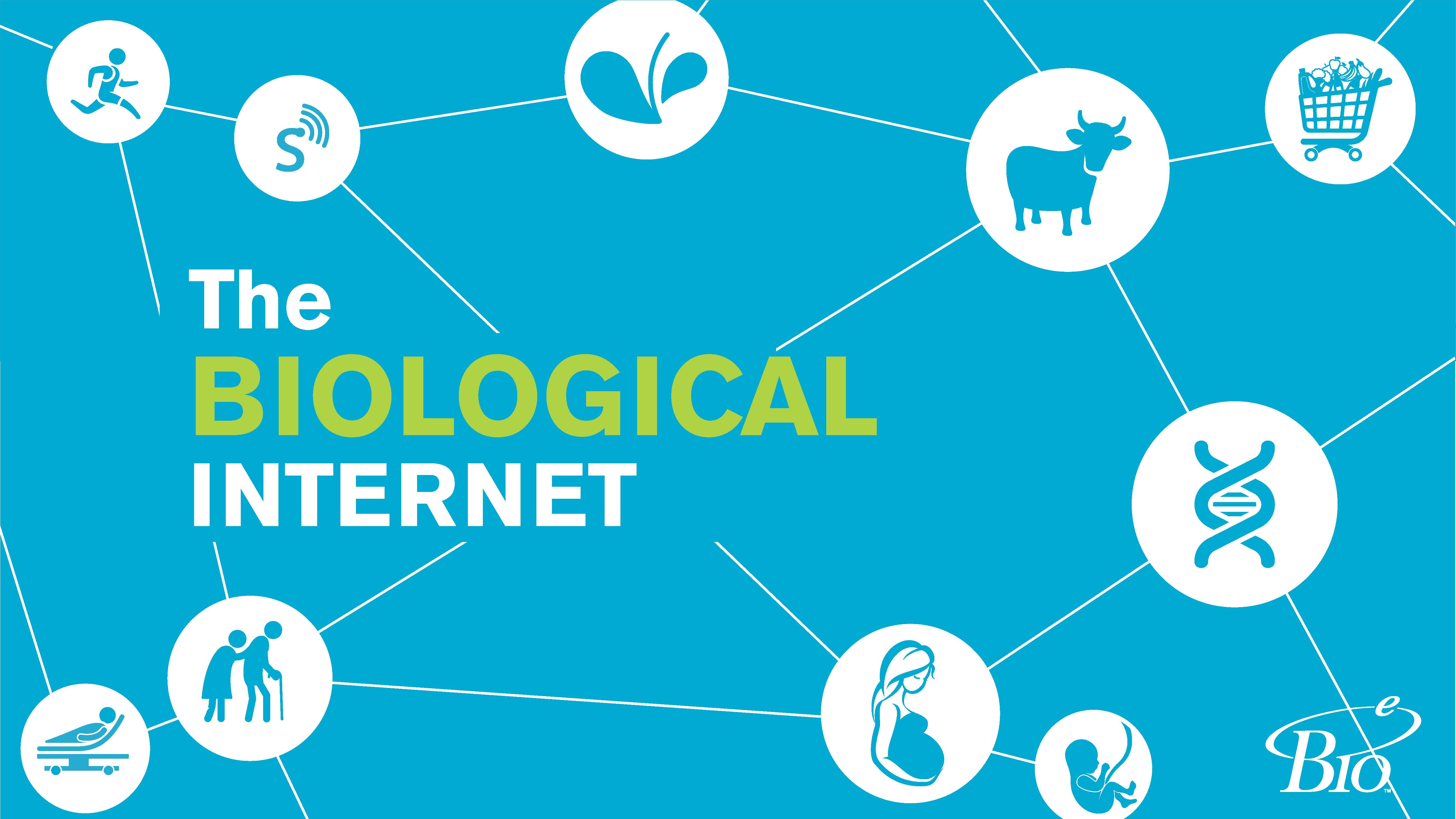 The Future Of Biotech: AMGEN's $12 Billion Curriculum's Vision